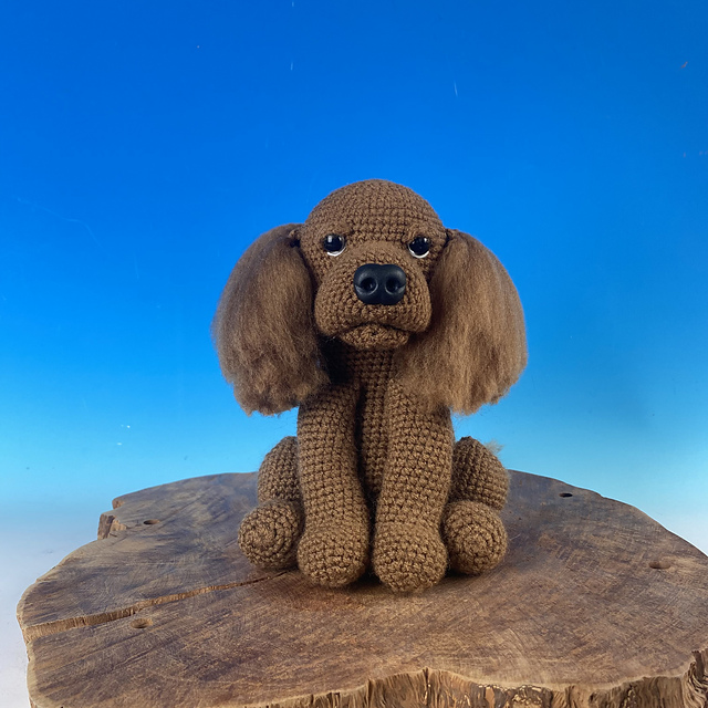 Cocker Spaniel King Charles Spaniel