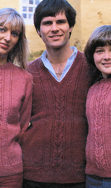 Family 4 Ply Sweater with V Neck