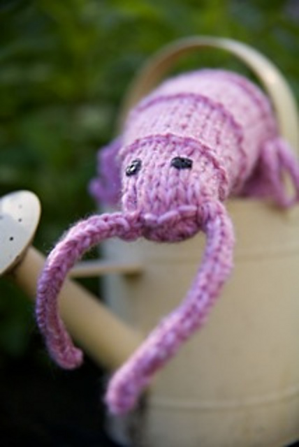 The woolly prawn