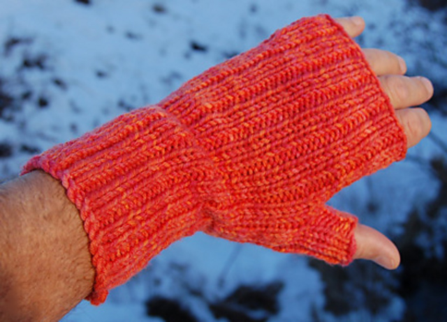 Poppies Fingerless Mittens