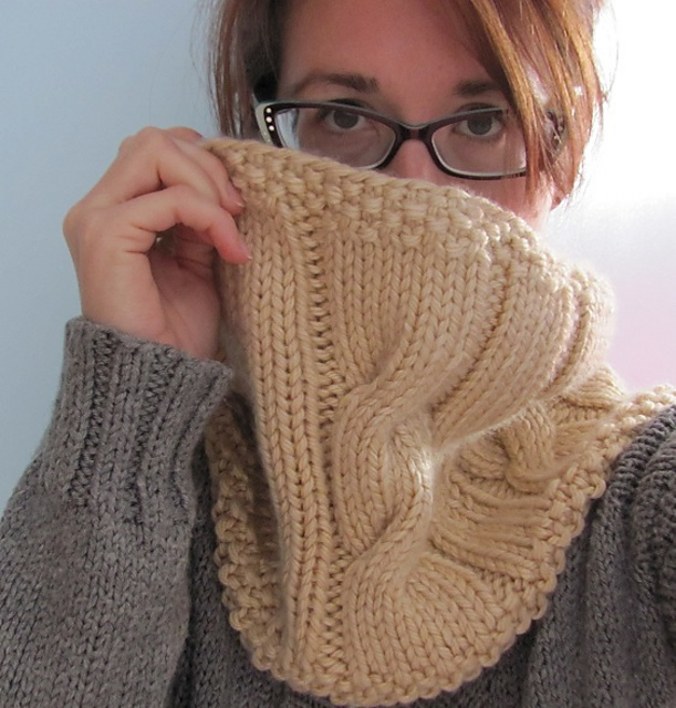 Tulip Tree Cowl
