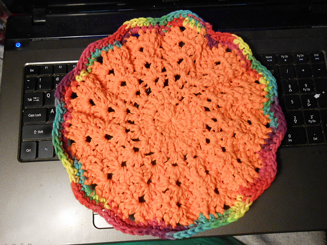 Flowers go round ~ dishcloth