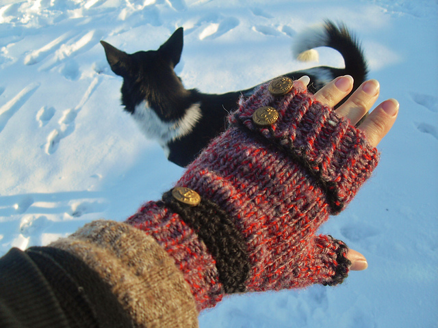 First Snow Buttoned Mitts