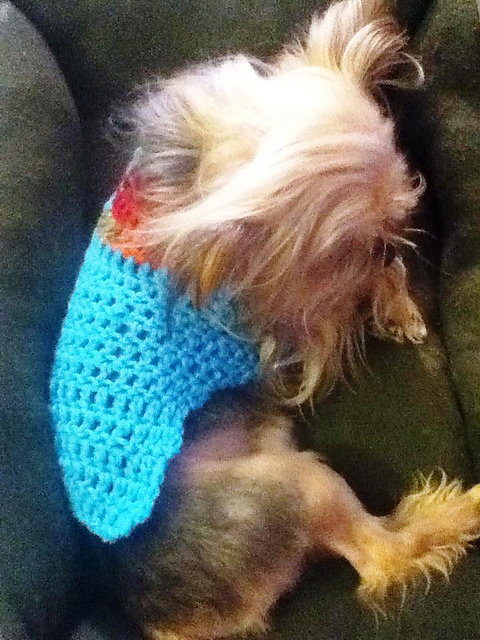 Little Fur Baby Scrap Sweater