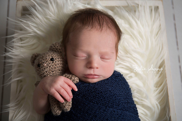 Teddy Bear