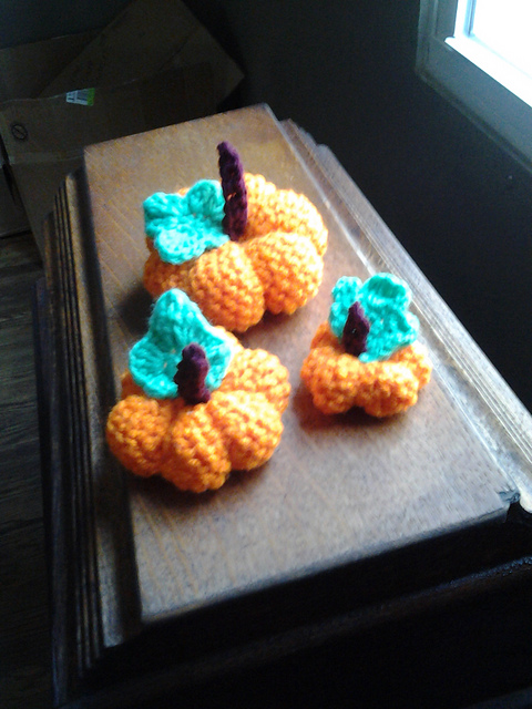 Pumpkin Patch