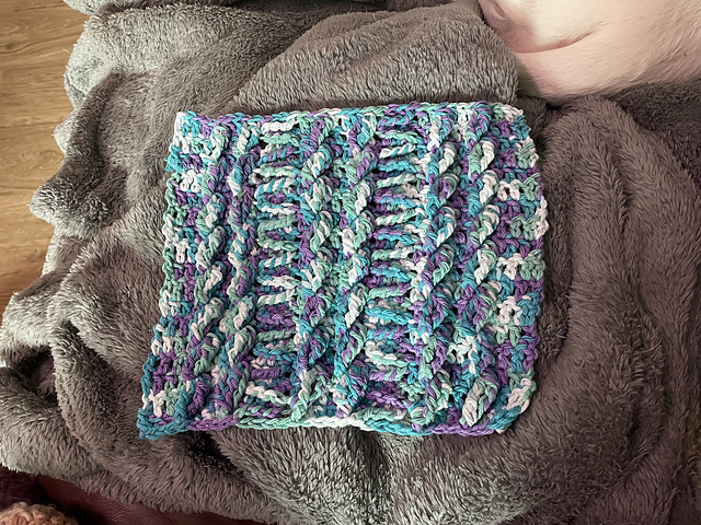 Cluster Cables & Zigzags Dishcloth