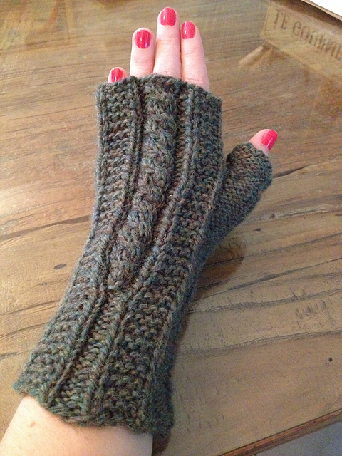 Crocodile - Reptile mittens