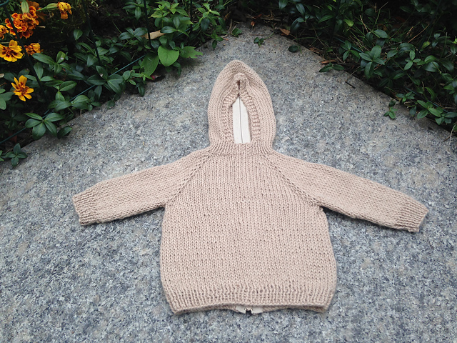Baby Hoodie: zips up the back!