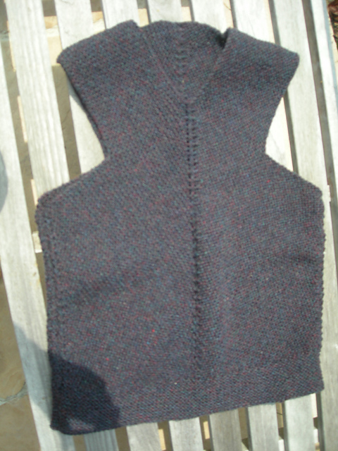 V-Vest