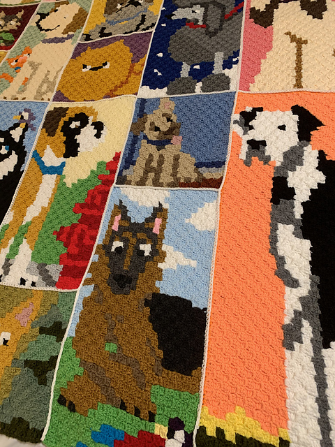 DOG IN BLANKET CDセット il_fullxfull.5889657216_gb96.jpg