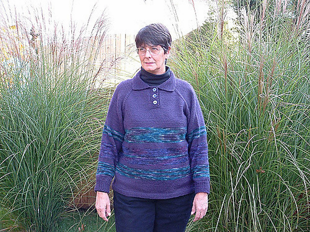 Raglan Polo Sweater with Collar