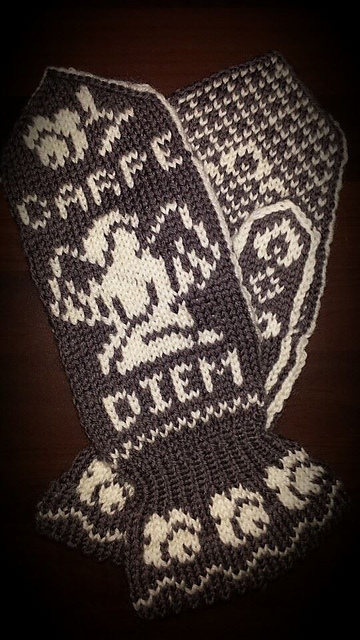 Carpe Diem Mittens