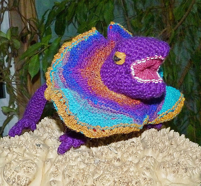 Frivolous Frilled Neck Lizard