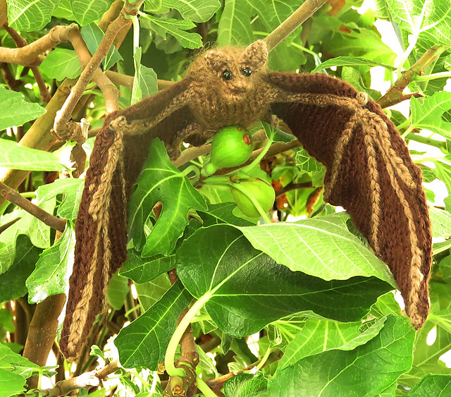 Beneficent Brown Bat