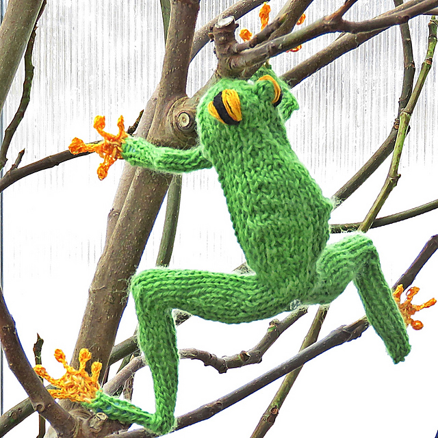 Frolicsome Frog