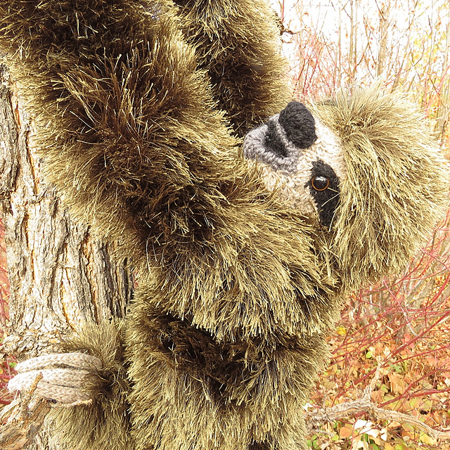 Somnolent Sloth