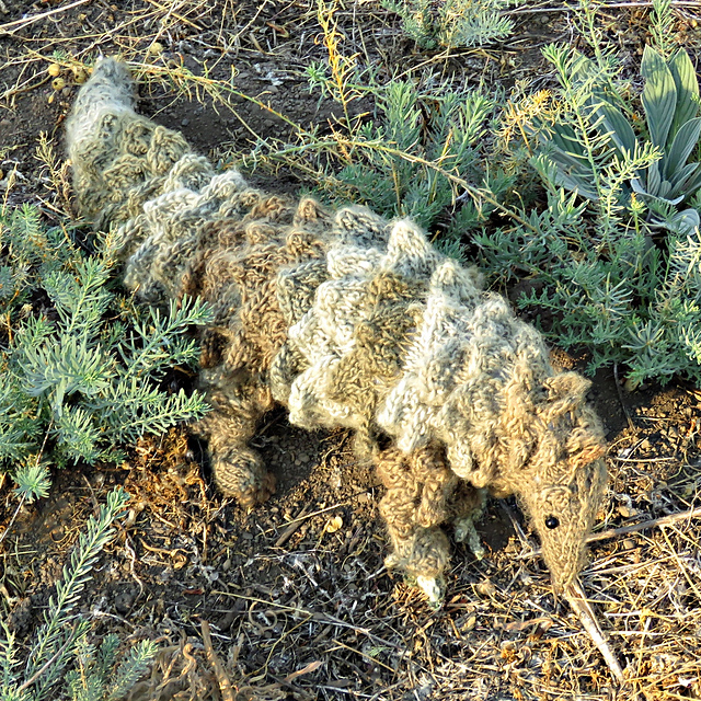 Persecuted Pangolin