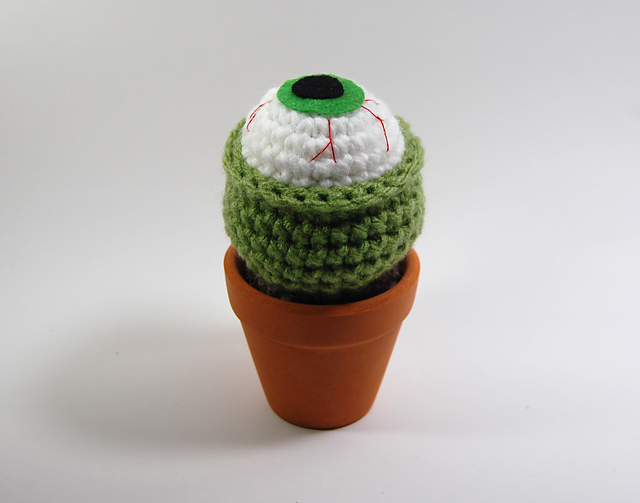 Short Eyeball Cactus