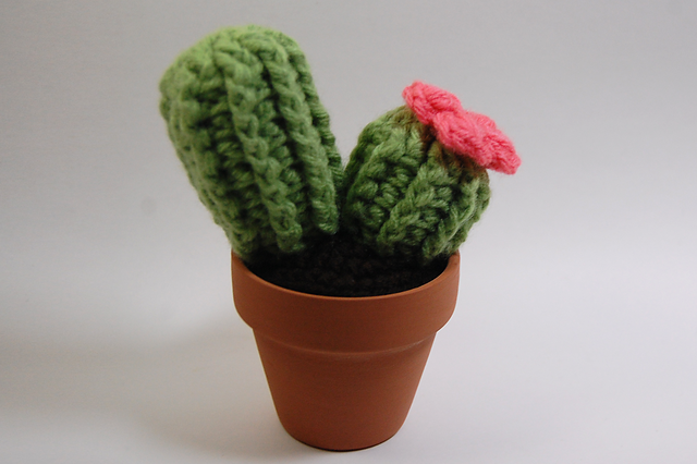 Barrel Cactus