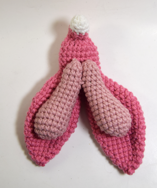 Clitoris