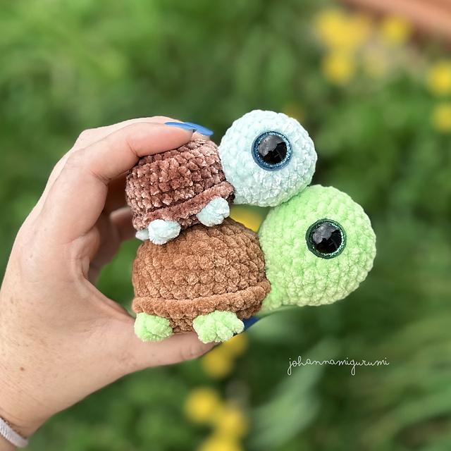 Sprout the Tiny Turtle