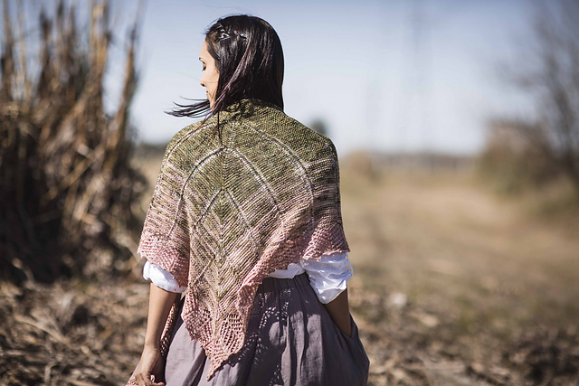 Transitions Shawl