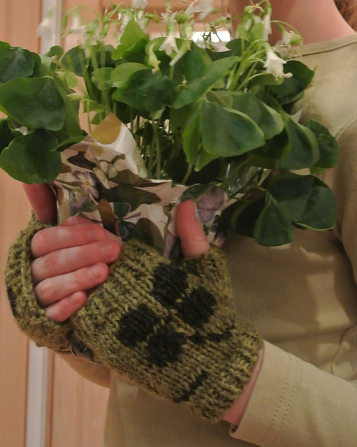 Lucky Mitts