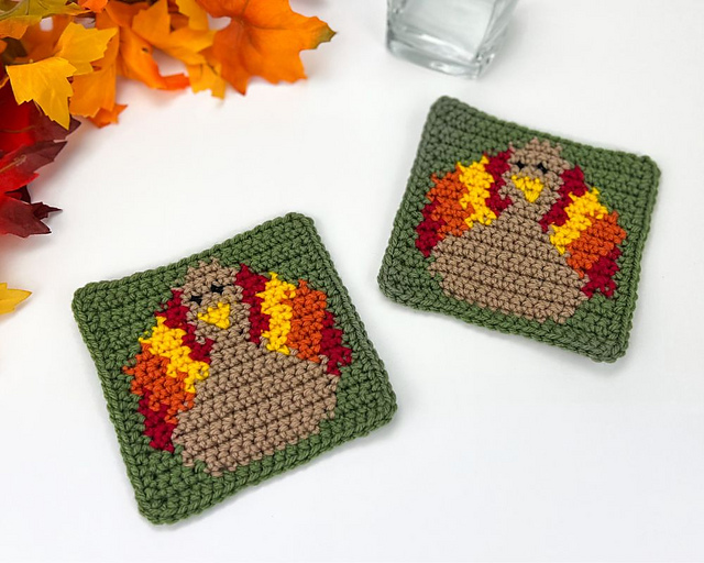 Turkey Coaster