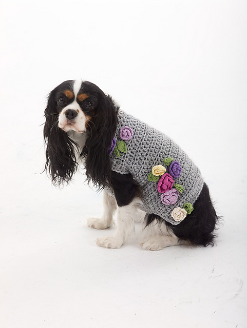 The Lady Who Lunches Sweater