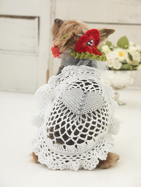 Say Woof to the Dress