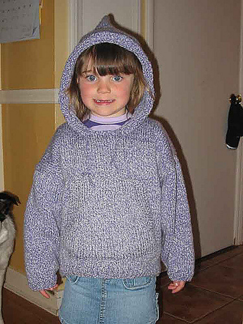 Hooded Sweatshirt #200