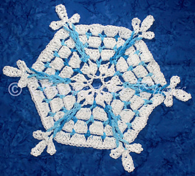 Many Thunders Dish Cloth