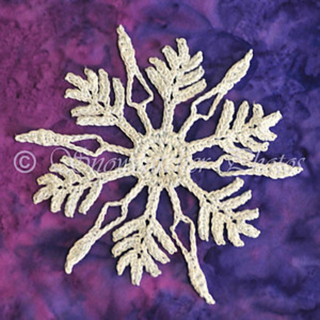 Lost Amigo I Snowflake