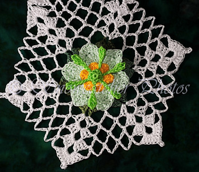 Sixifrage Snowflake
