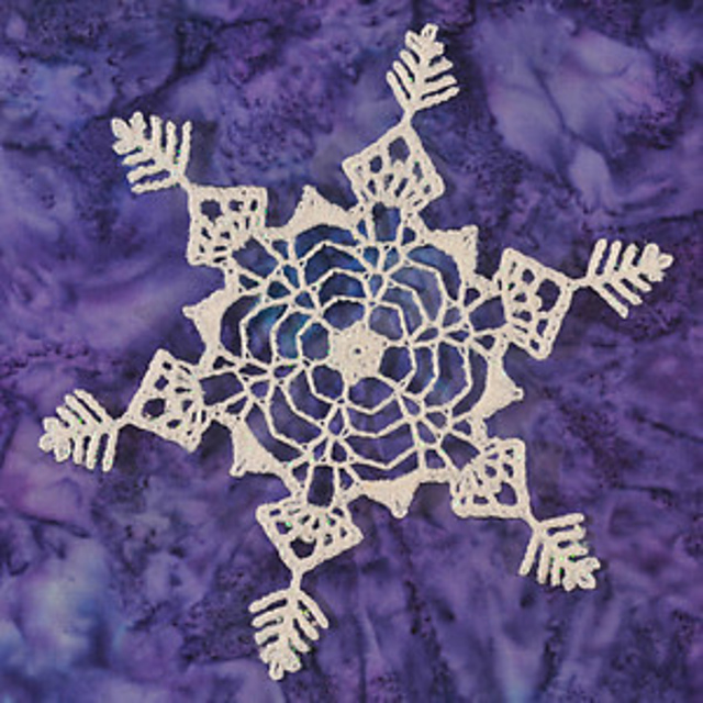 Snowflake made during Paralympics