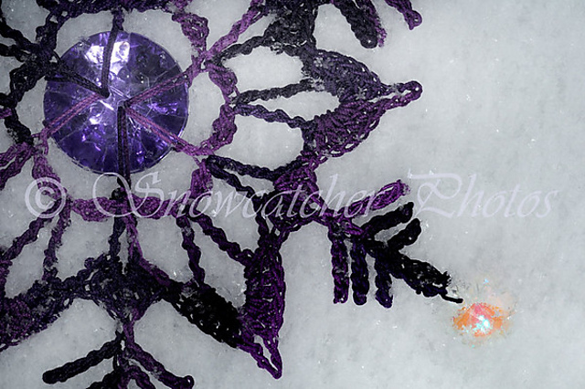 Winter Storm Iris Snowflake