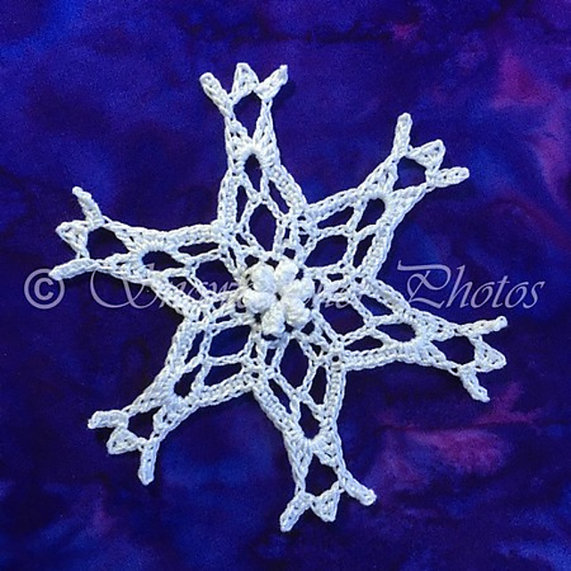 Perseid Snowflake