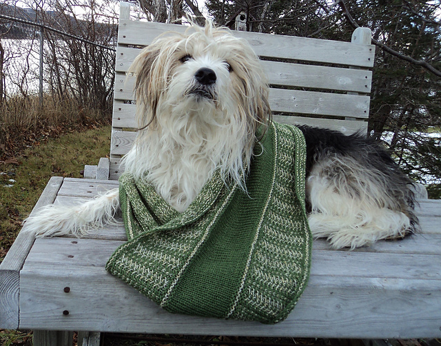 A Light Touch of Pizzazz Cowl