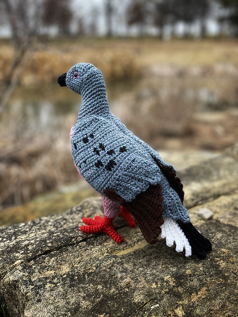 Pigeon and Dove Set 2
