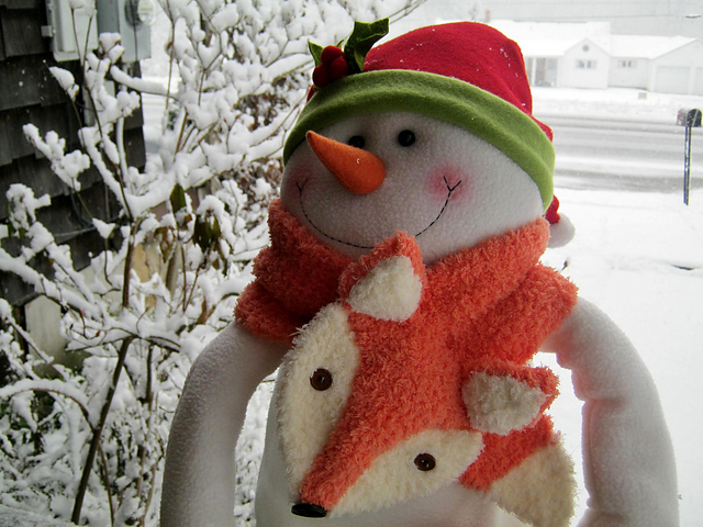 Pipsqueak Fox Scarf