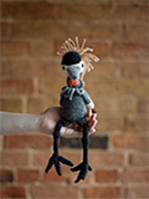 Zane the Grey Crowned Crane