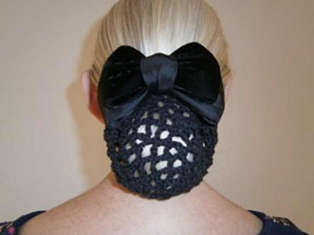 Barrette with Snood/Net