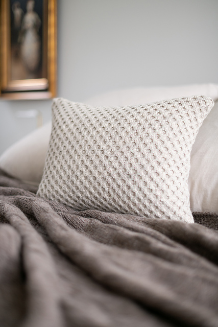 Apiary Pillow