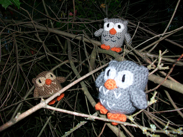 Owls