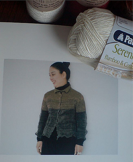 Silk Stainless Cardigan