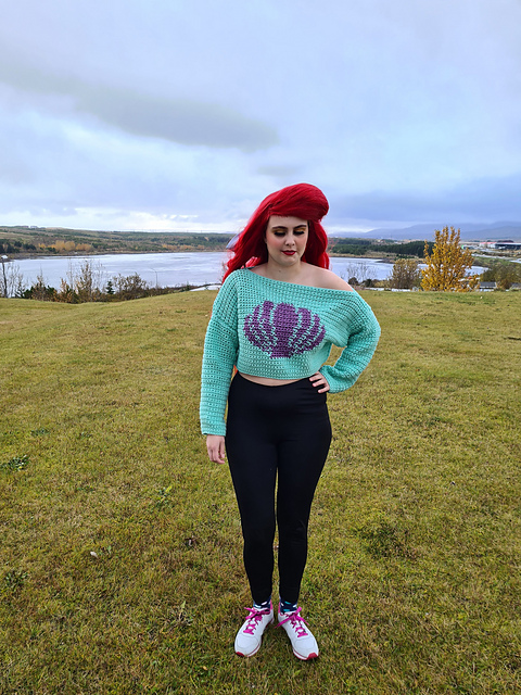 Off-the-shoulder Seashell Crop Sweater
