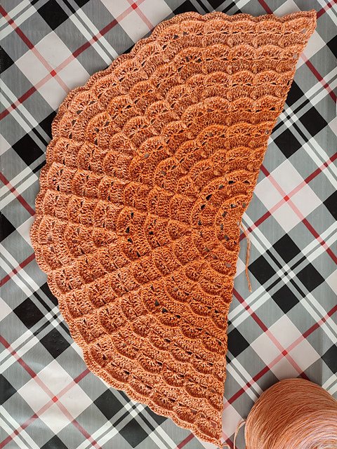 Iago HC shawl