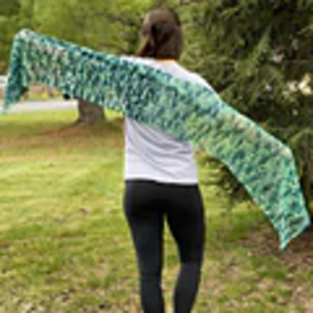 Ariel Shawl