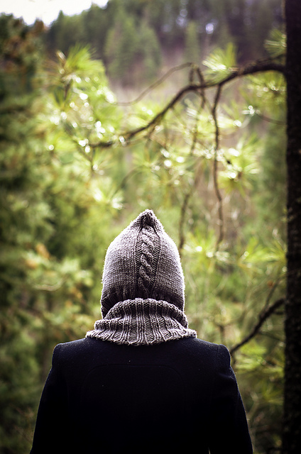 Through the Woods Hoodlet